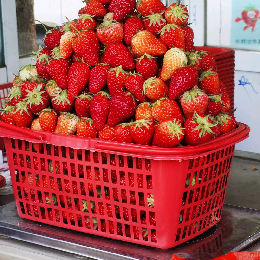 草莓哥（农业种植技术顾问）