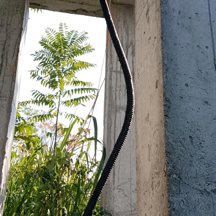徐心所欲