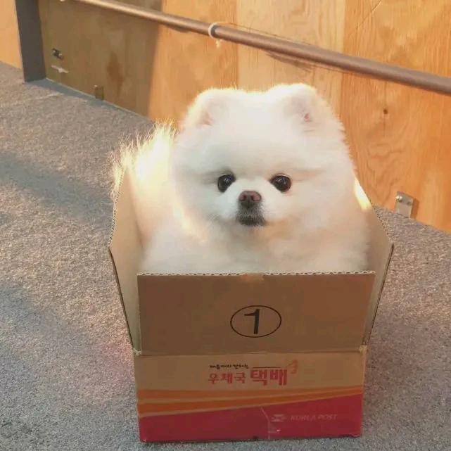 花谢泪落