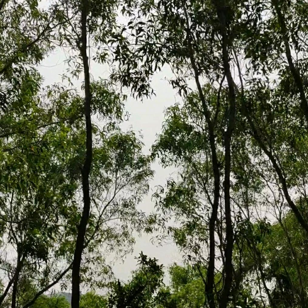 叫我洛洛！