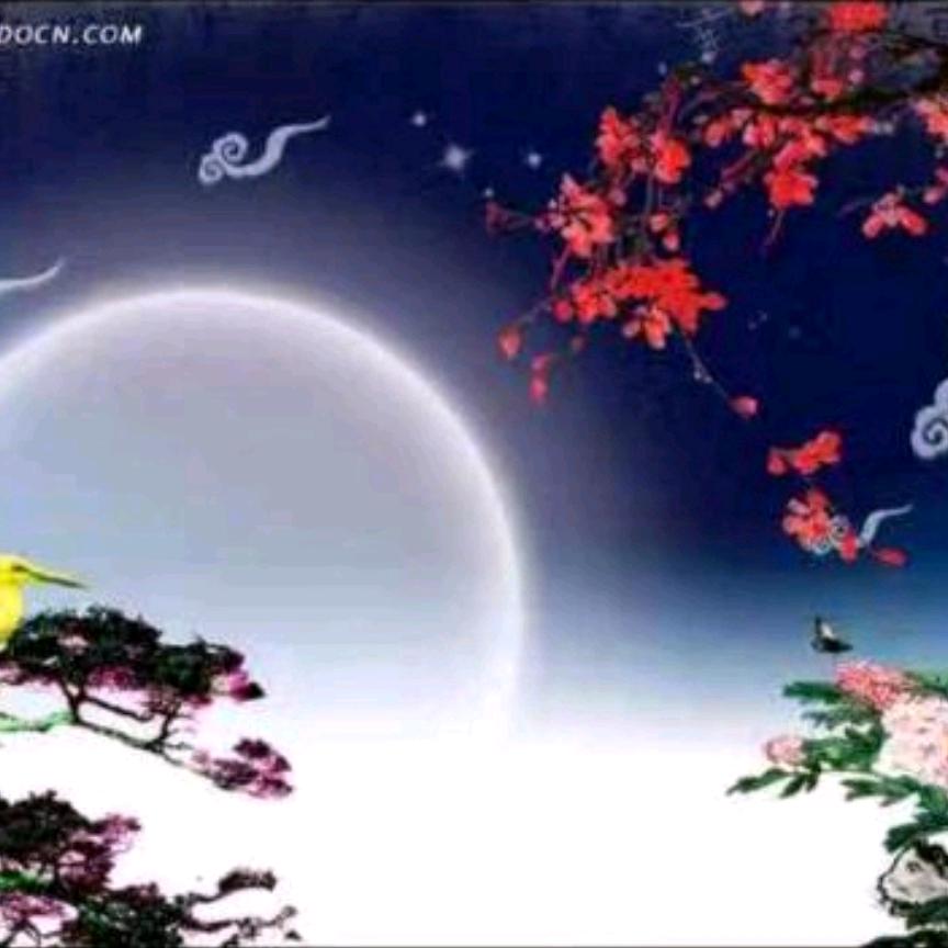 明月玄珠