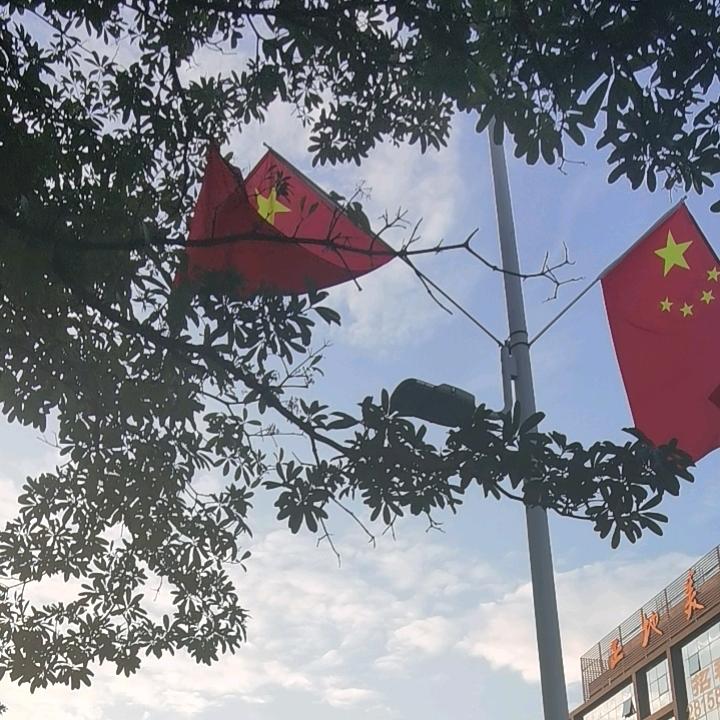 枫