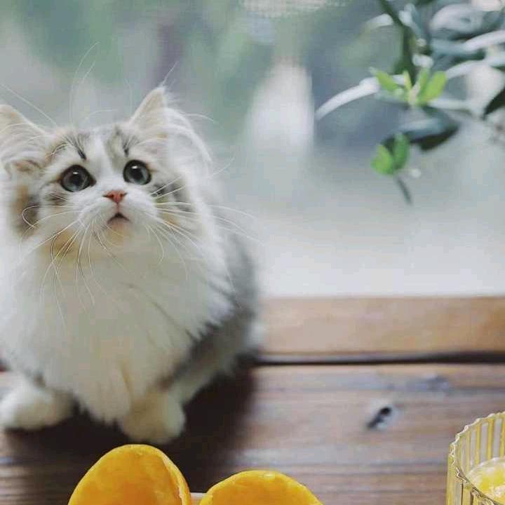 爱我所爱