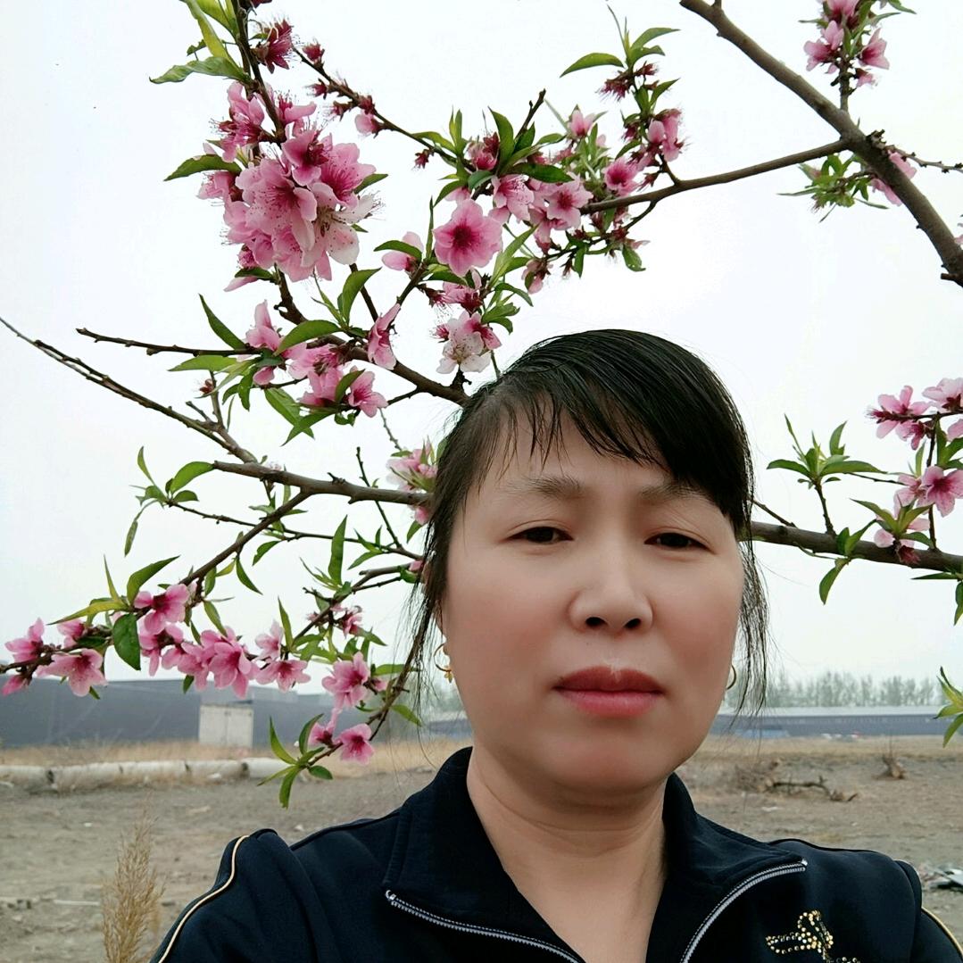 农村李姐