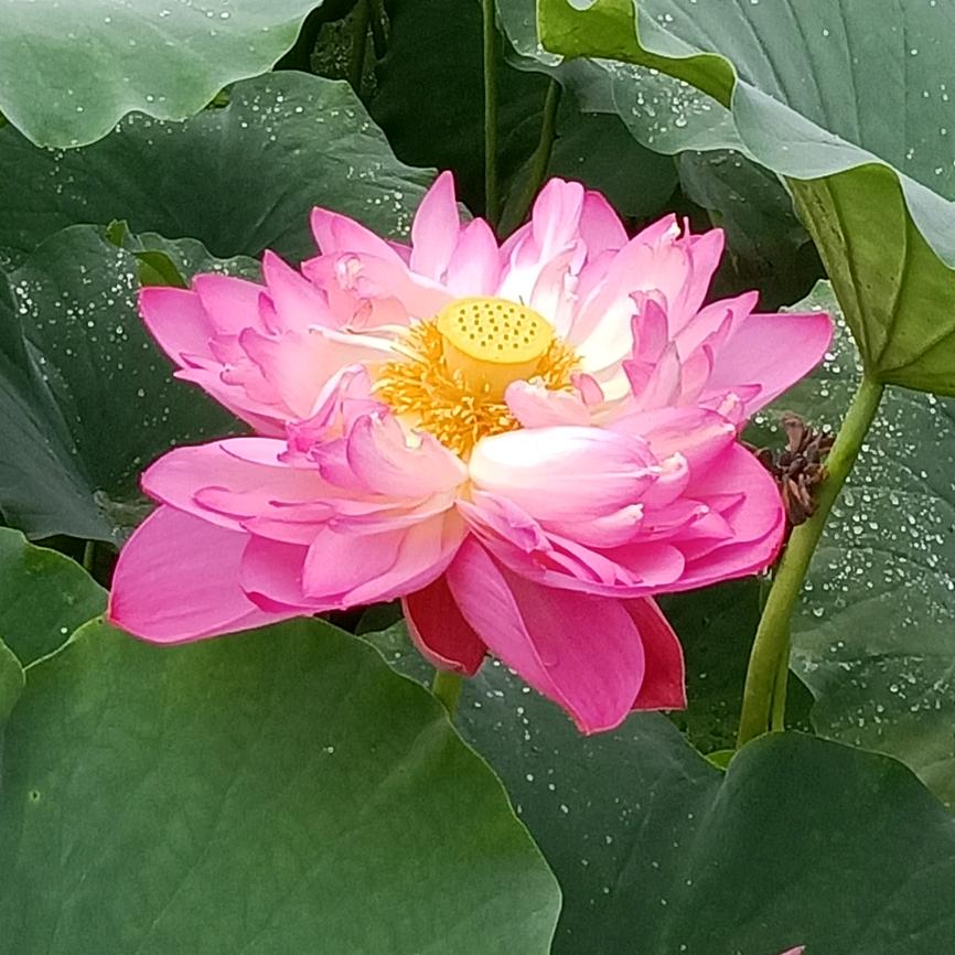 美好❤情