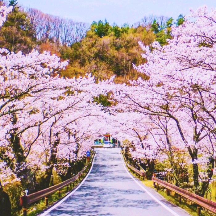 清静