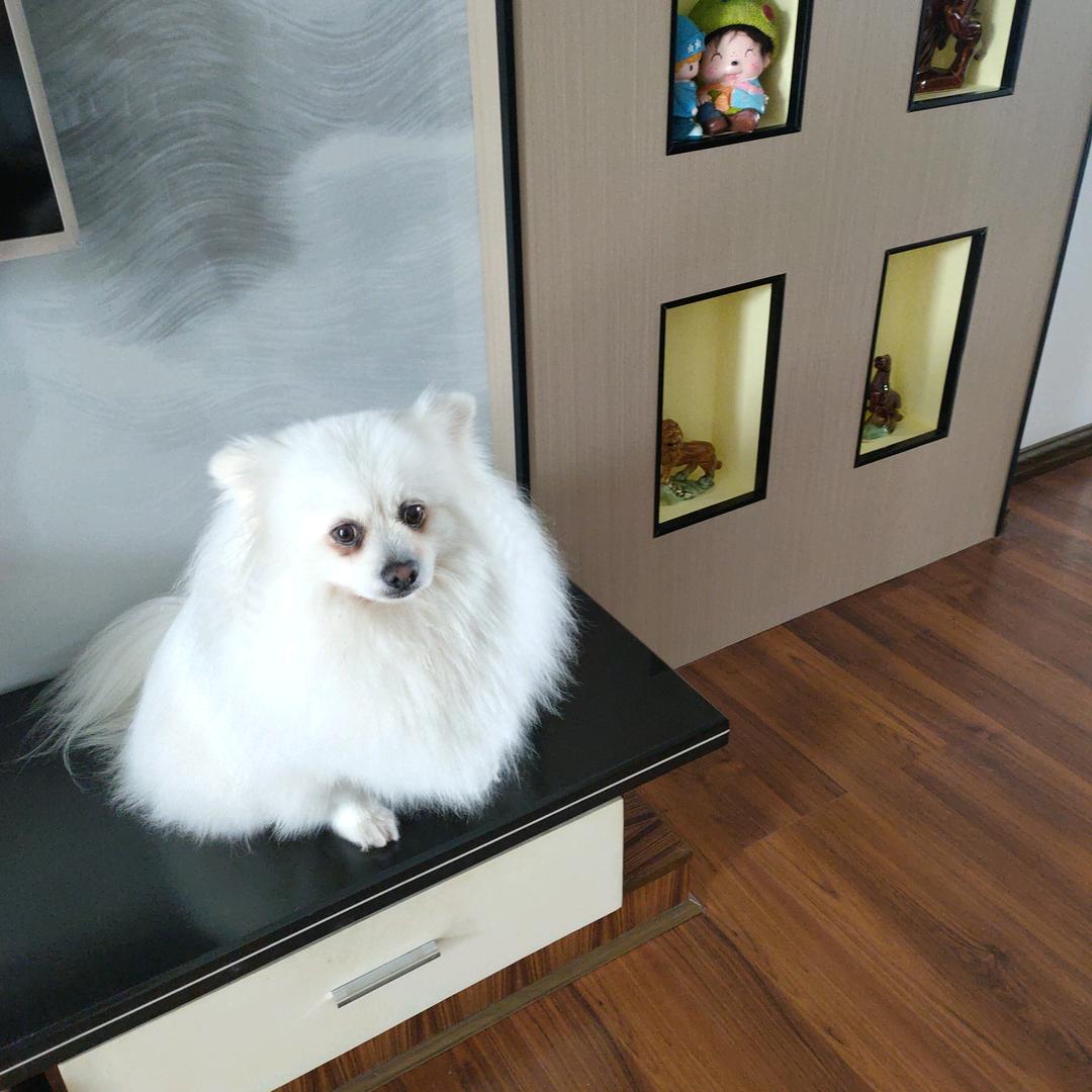 山之范