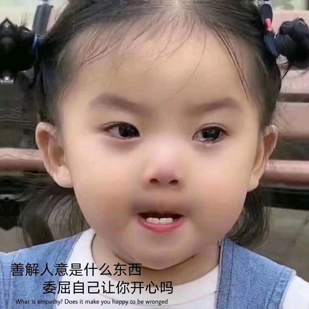 毛猪
