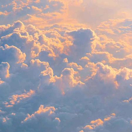 ︶￣★贝壳风铃’