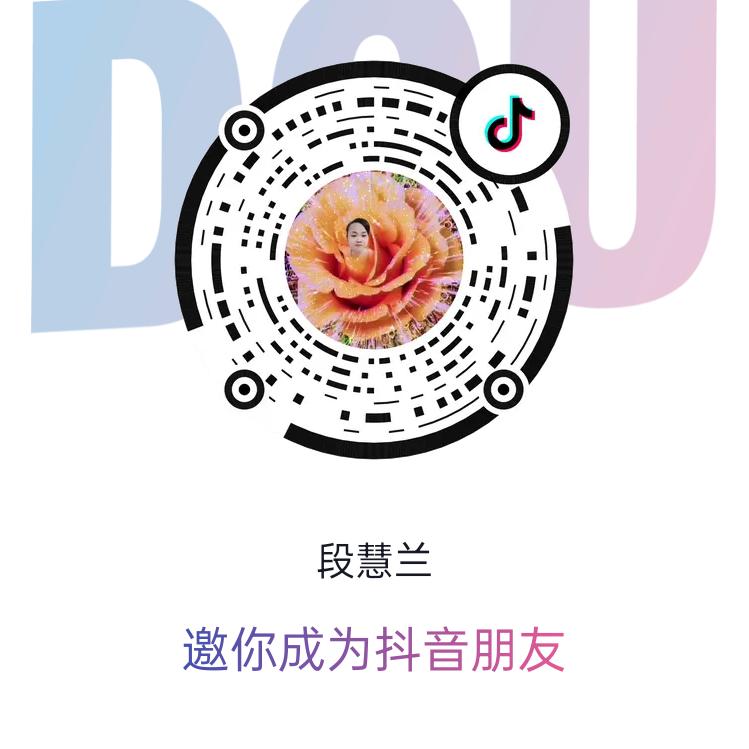 段家二姐