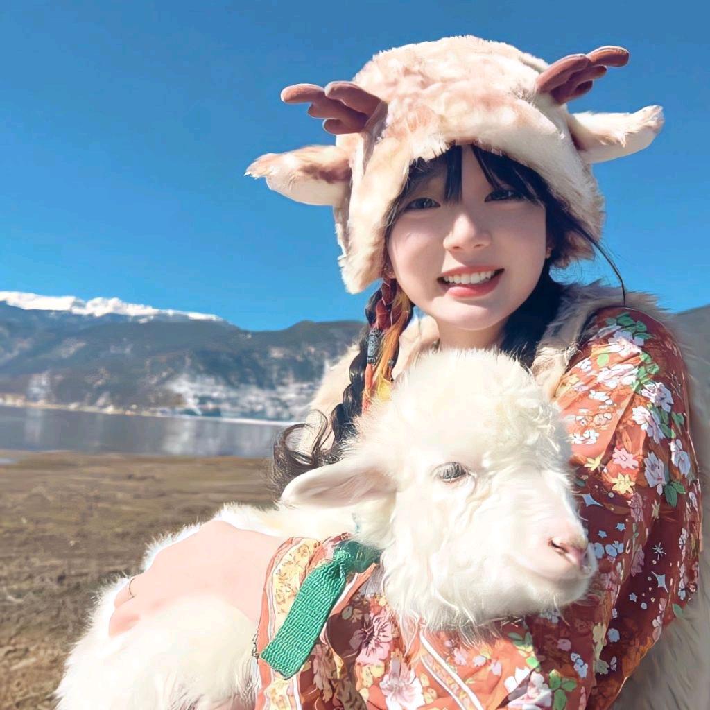 一只眠羊🐏