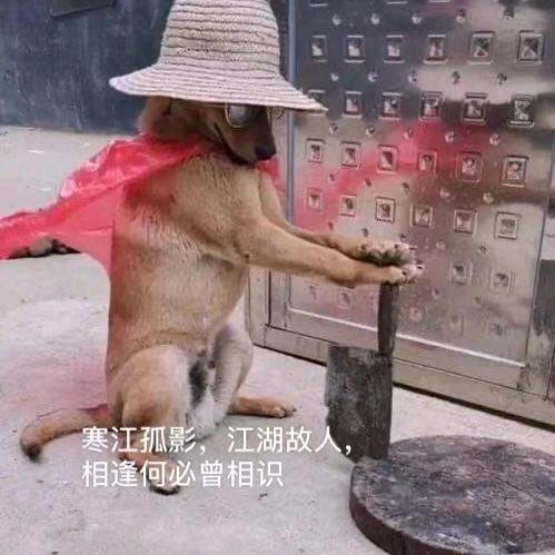 猩