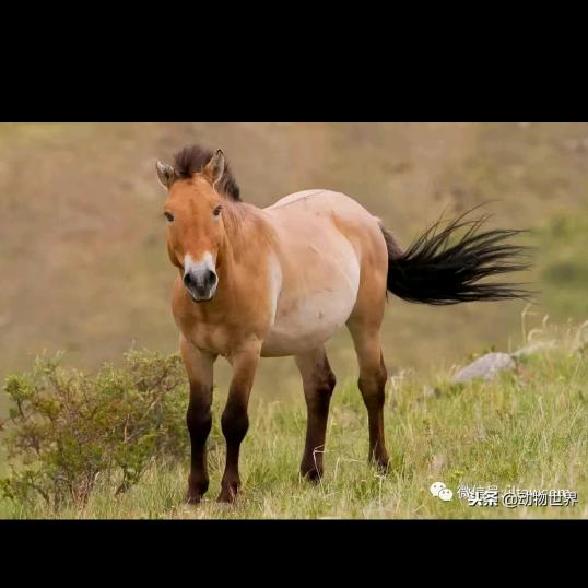 幸福总比痛苦多