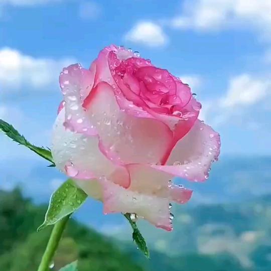 西宁信阳炖菜馆