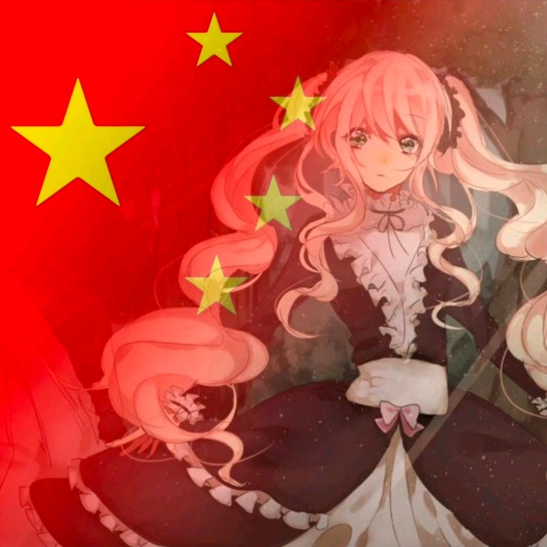 树懒才不懒