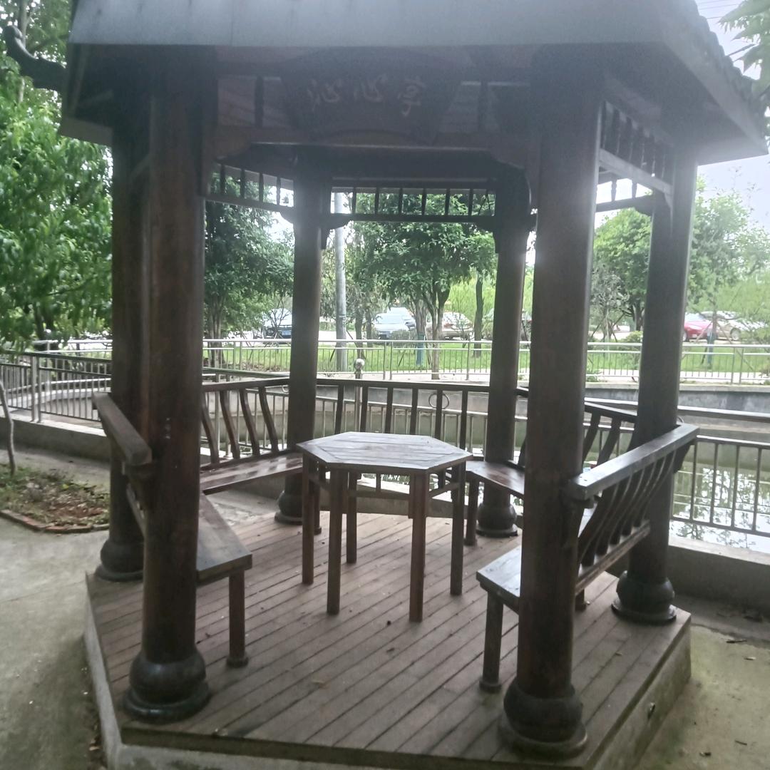 梦见的你