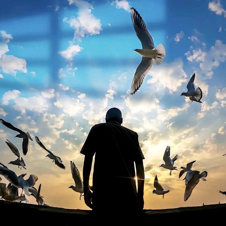 今朝游泳教练—小贝