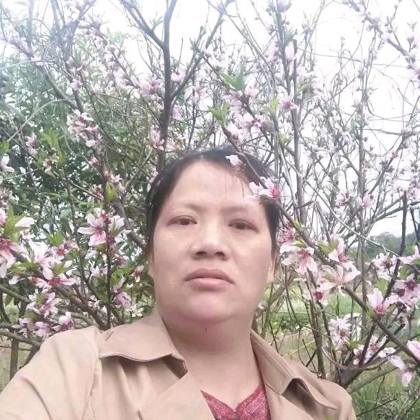 幸福红娘