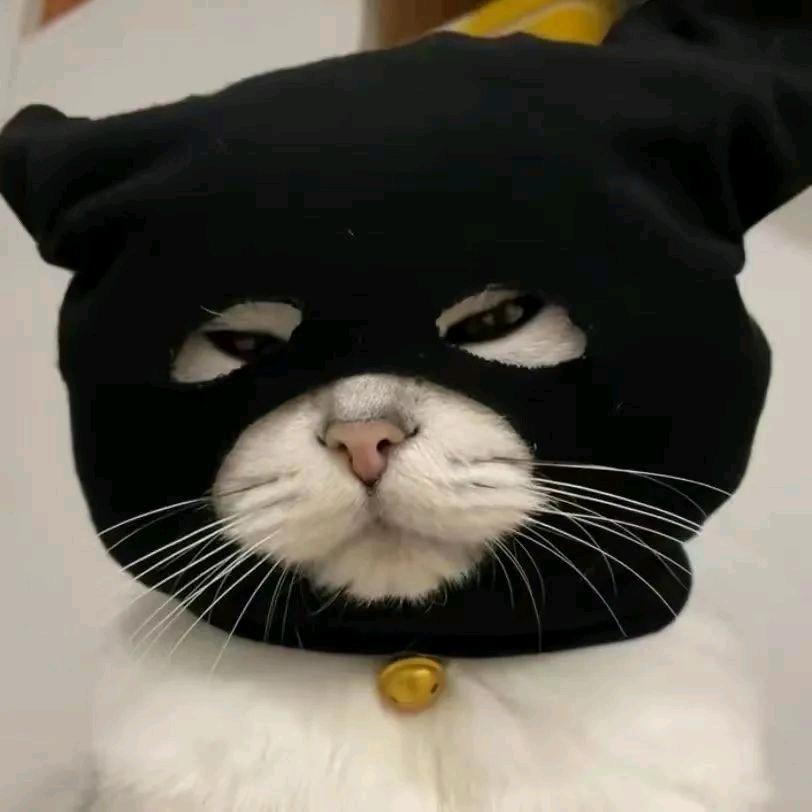 又是一个不眠yeah