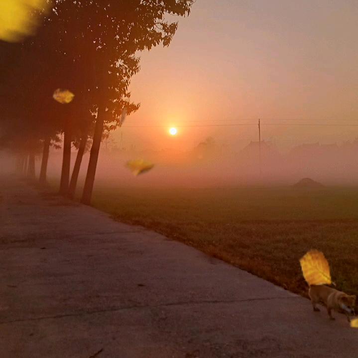 一缕阳光🇨🇳
