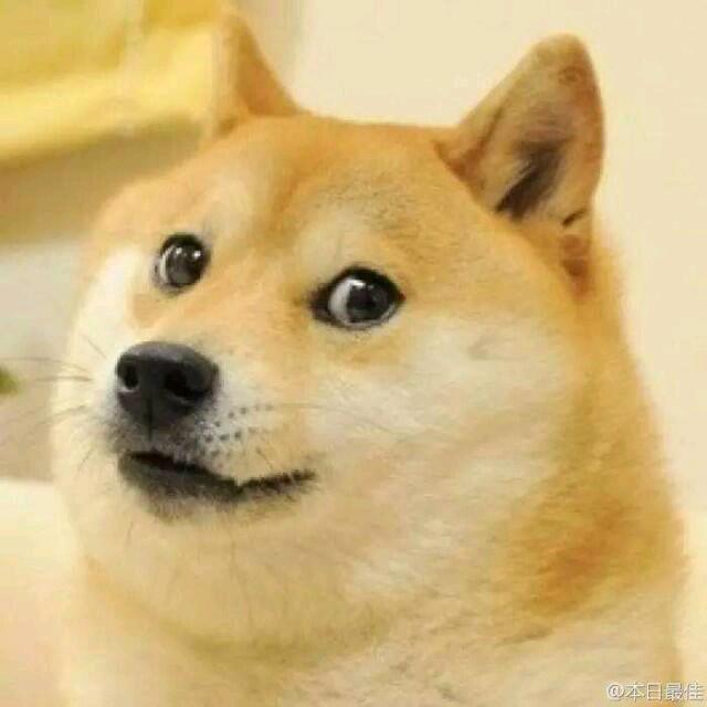 帝一鸣doge