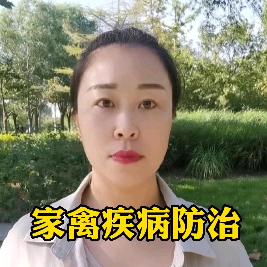 养鸡好帮手（英子）