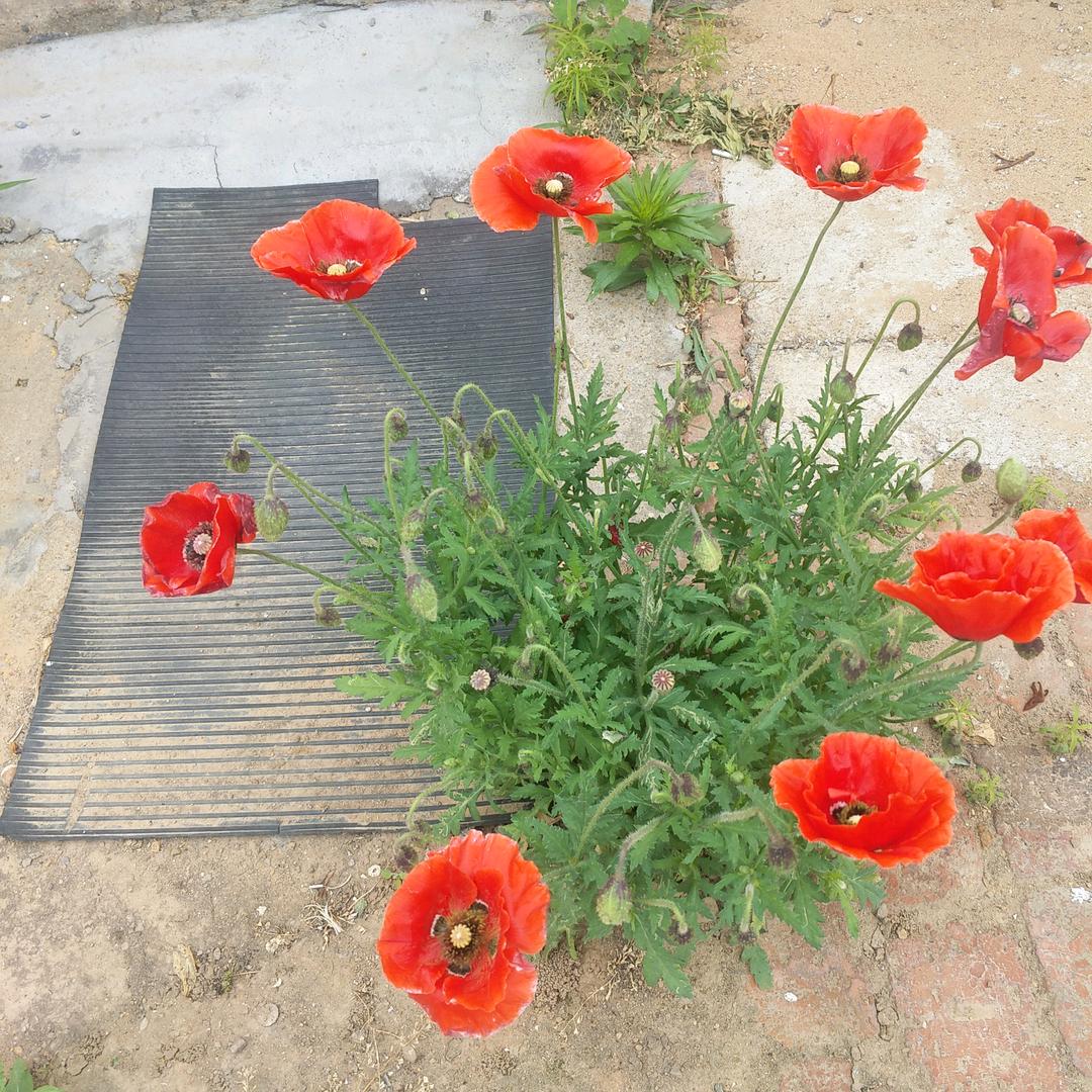 顺其自然，开心每一天