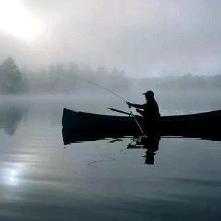 为鱼为娱喂鱼🎣