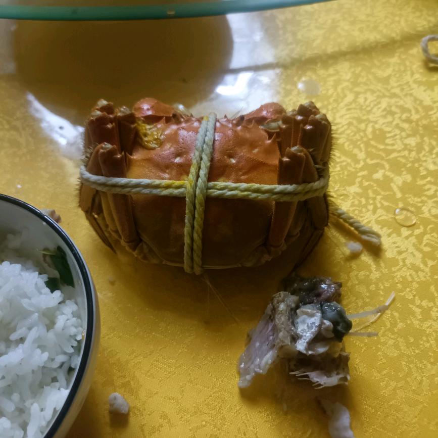 এ᭄陈ོꦿృ༊