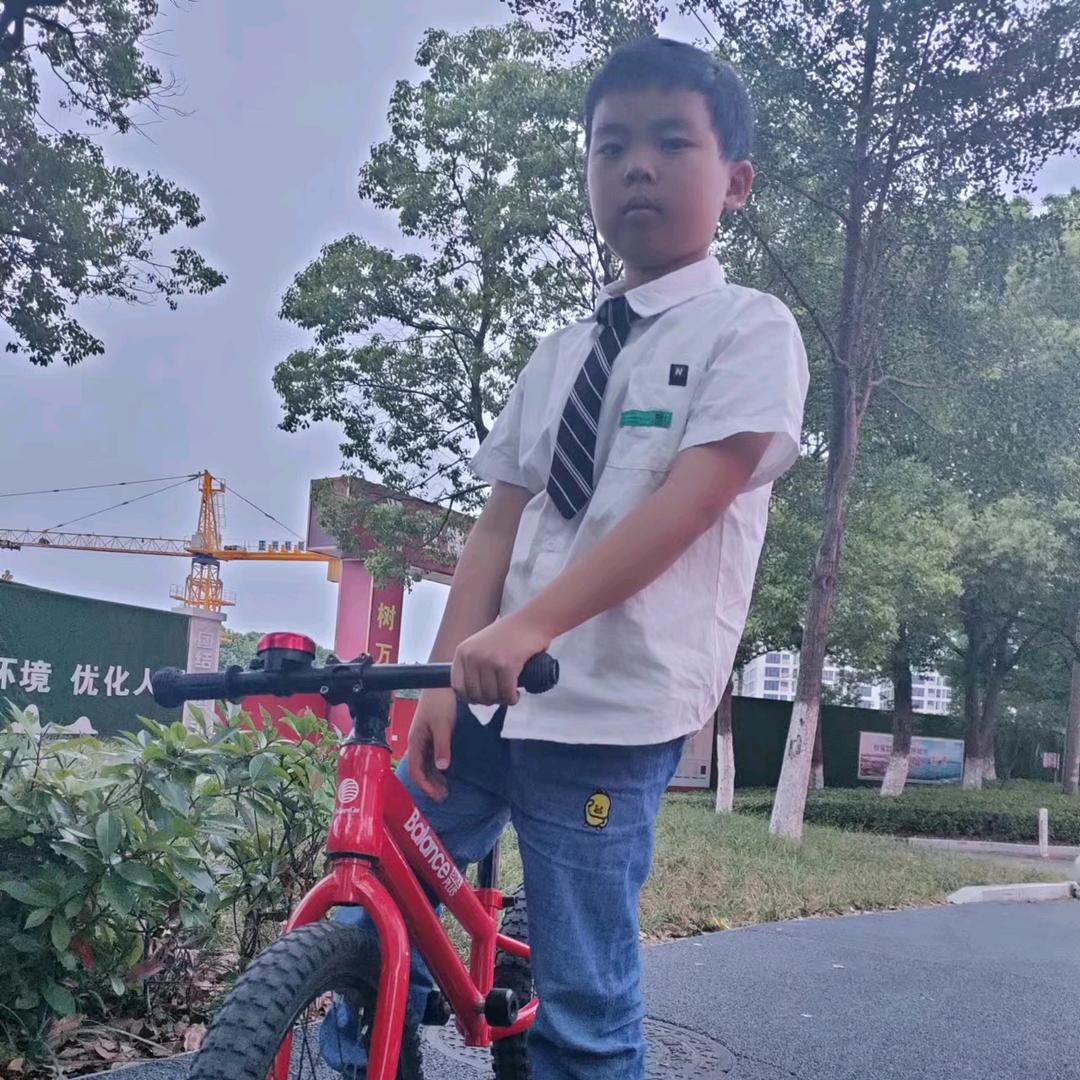 叶落知秋