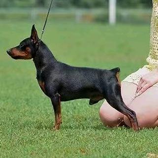 老张欧巴👑👑