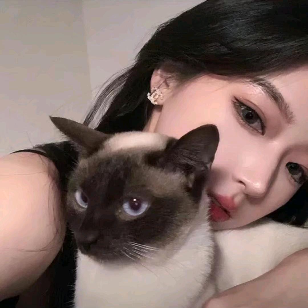 宇妹.