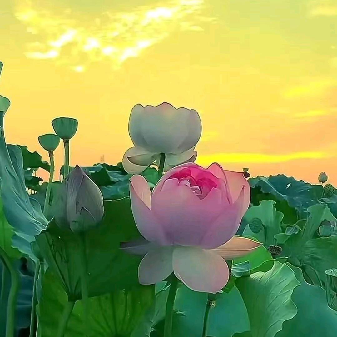 心♥想$事♞陈♥