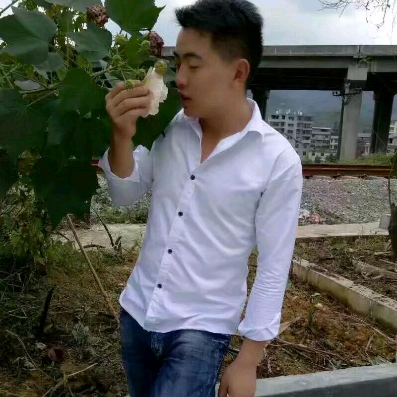 ✐好运随身✯
