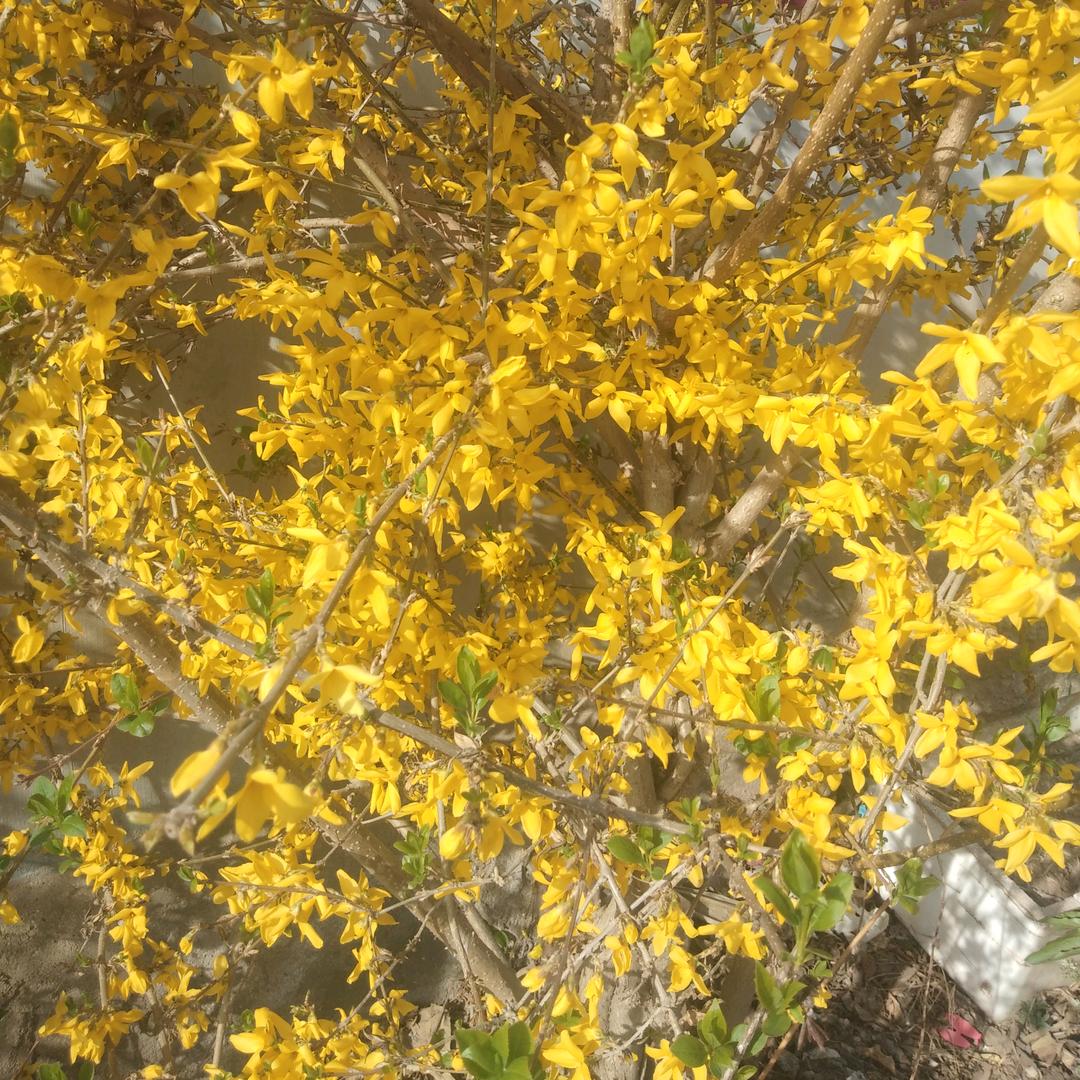 走自己的路，让他她人说去吧👣👣👣👀