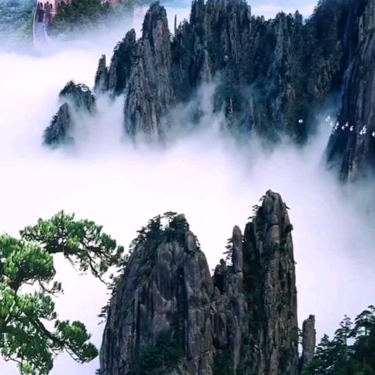 一路吹风
