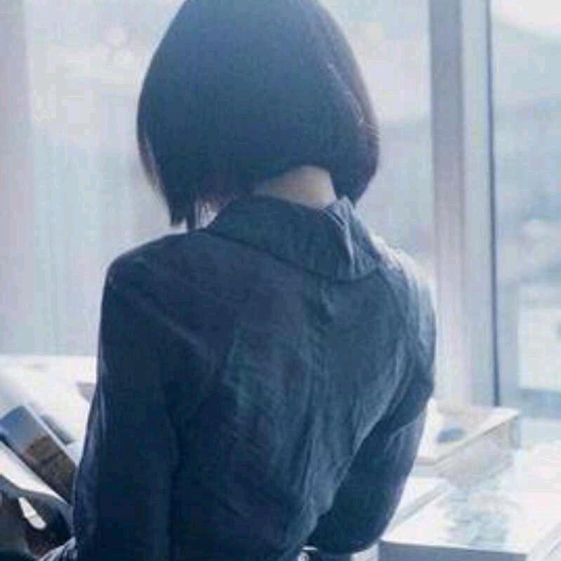 海鸥飞彩云追