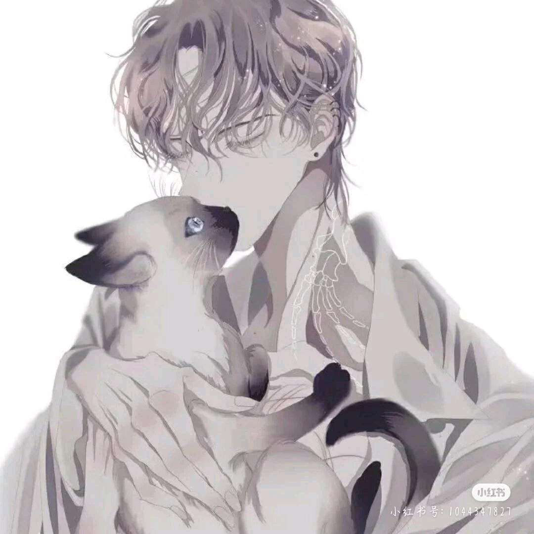 梦沉
