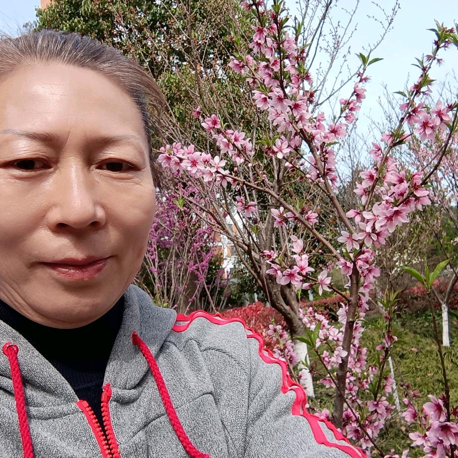 许芹