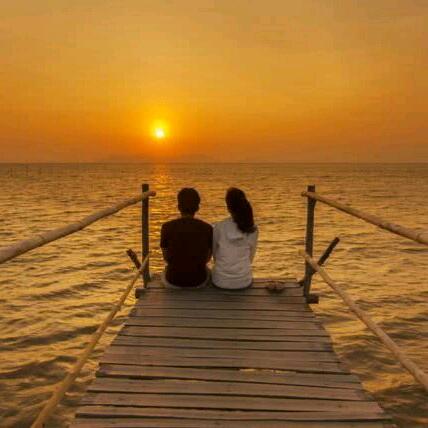 💞忘忧草💞新生吧