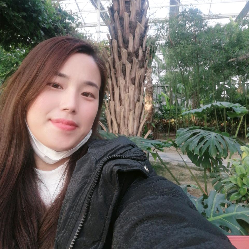 莎糖果蜜