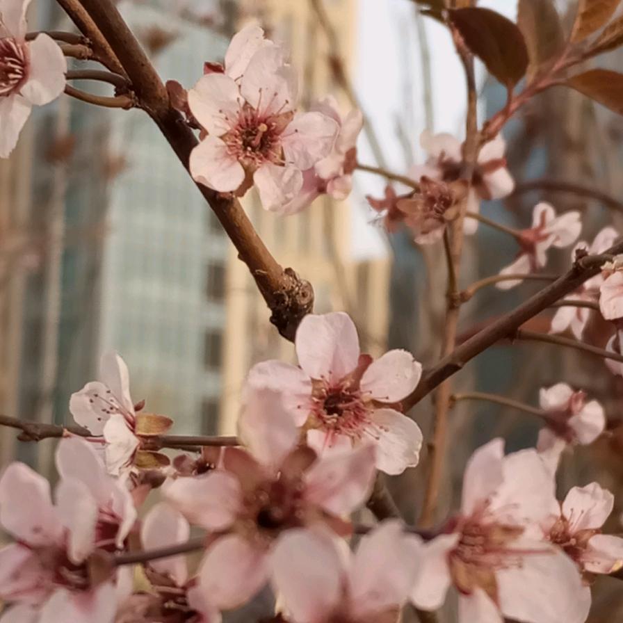我想要