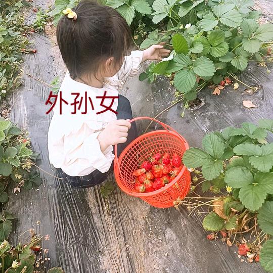 69年的【🐔】明天会更好😄