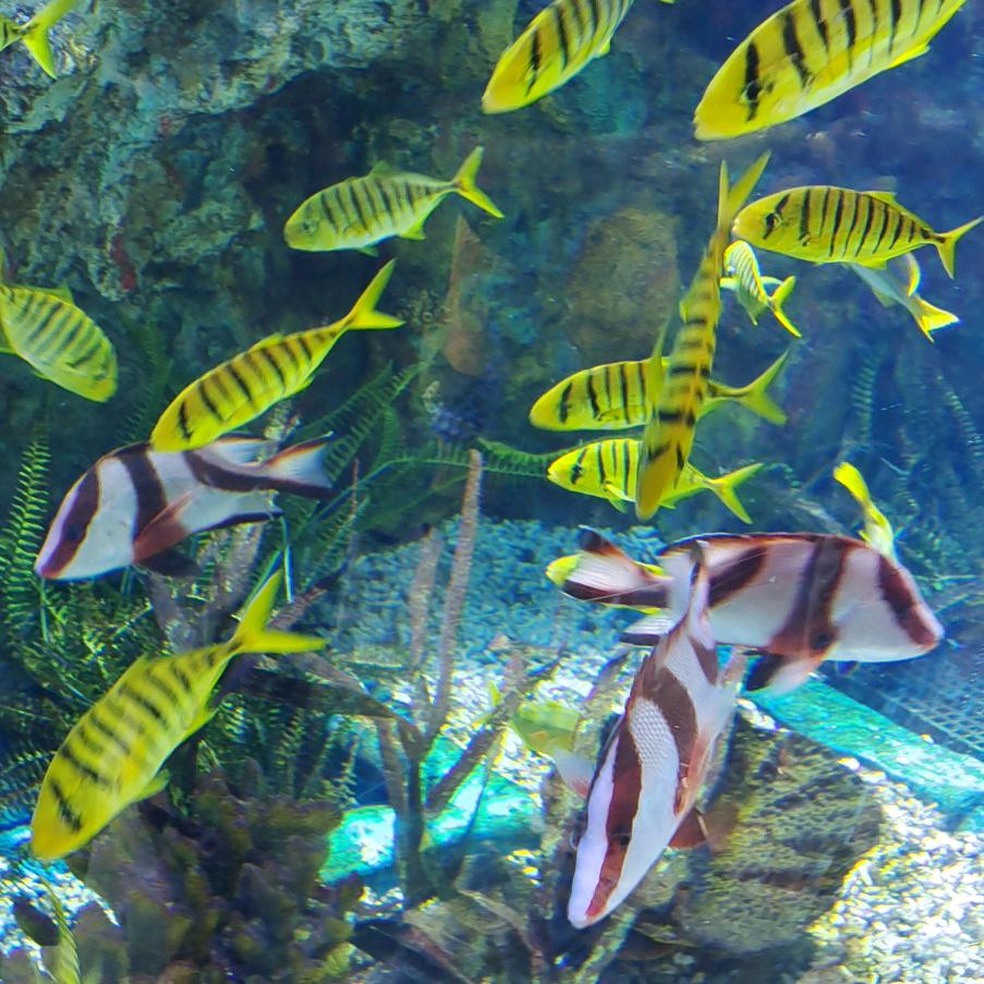 ❛˓◞˂̵✧聆聴伱の心殸✧*｡