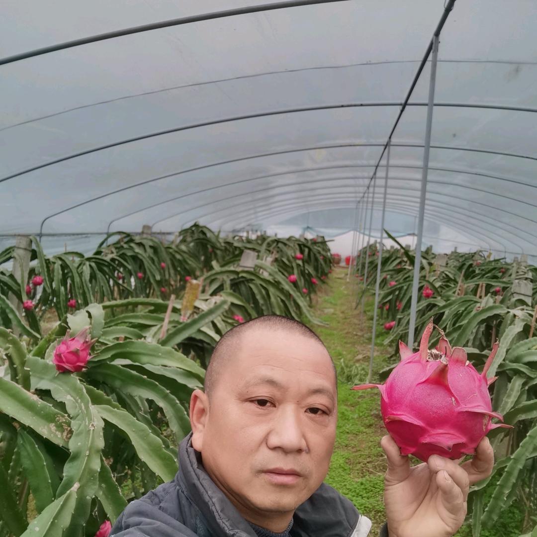 乐山市市中区华鑫家庭农场