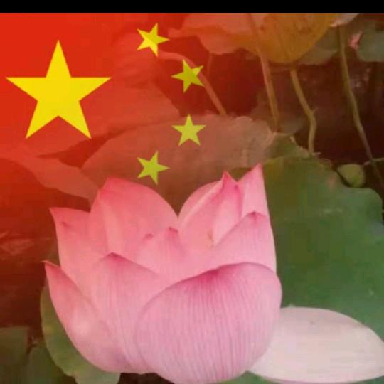牛姐1970500145