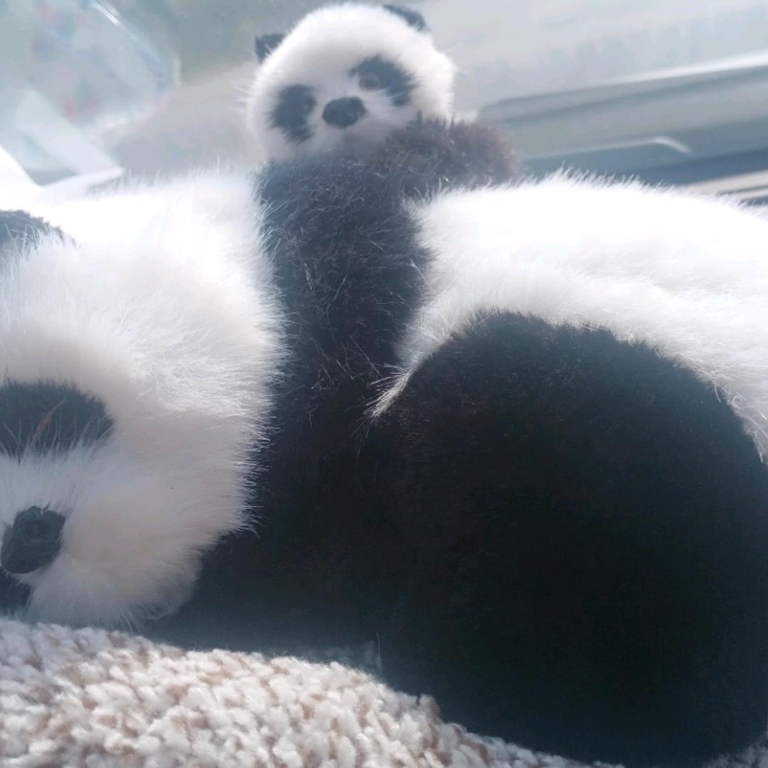 成熟是种老