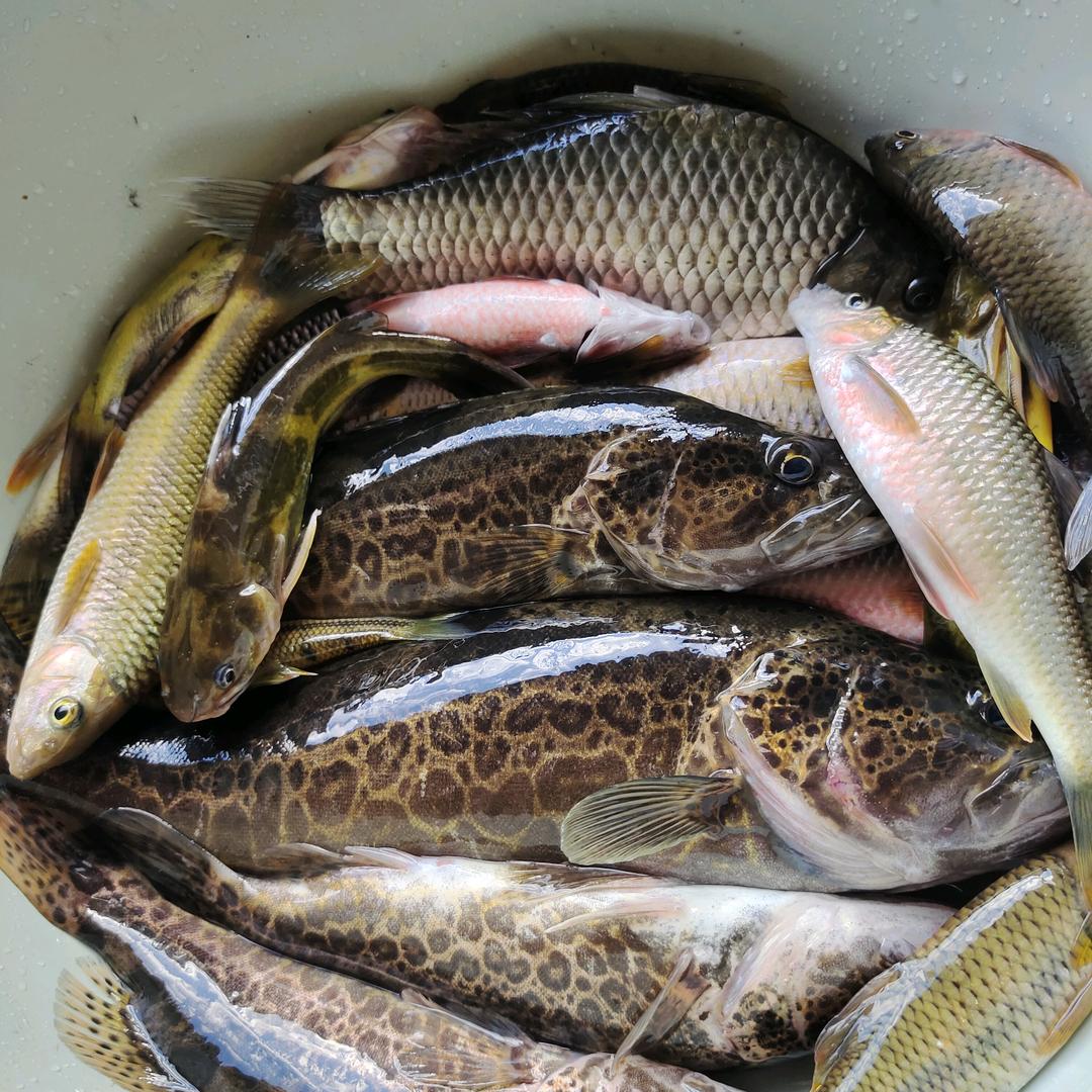 ℳঞ余生 💕 陪你❧到老⁵²⁰