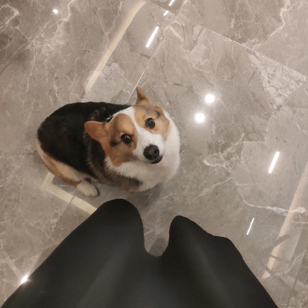 啦啦的小王子
