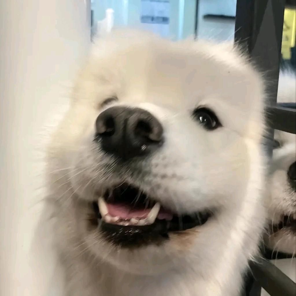 我要在这理发店